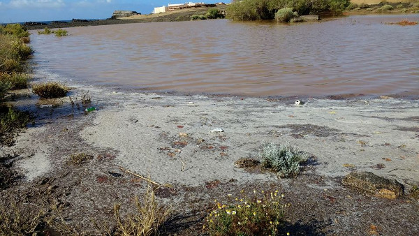Coliformes para todos. Playas para nadie